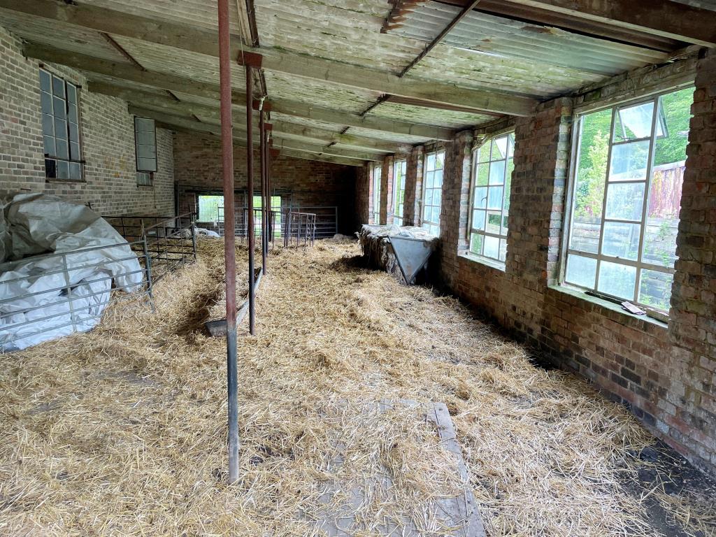 Lot: 35 - FREEHOLD SMALLHOLDING PLUS NINE ACRES OF LAND WITH POTENTIAL - Internal view of outbuilding